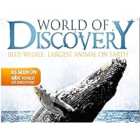World Of Discovery - Blue Whale: Largest Animal on Earth