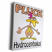 3dRose Chicken Pluck Hydrocephalus Awareness Ribbon Cause... - Museum Grade Canvas Wrap (cw_114793_1)