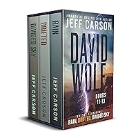 The David Wolf Mystery Thriller Series: Books 11-13 (The David Wolf Series Box Set Book 4)