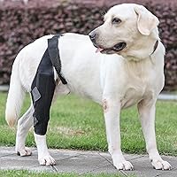 2X Support Dog Knee Brace with Metal Strips for Joint Pain Relief, Dog Leg Brace for Torn Acl Hind Leg, Rear Leg Brace with Adjustable Traction Belt for Cruciate Ligament Injury, Arthritis (Medium)
