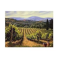 WAG00273-C3547GG Tuscany Vines by Michael Swanson, 35x47-Inch, 35 in x 47 in, Multicolor