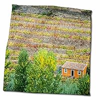 3dRose Portugal, Douro Valley. Orange House in Vineyards of Douro Valley. - Towels (twl-330411-3)
