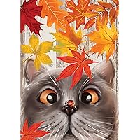 Toland Home Garden 1112655 Fall Cat and Ladybug Fall Flag 12x18 Inch Double Sided for Outdoor Cat House Yard Decoration