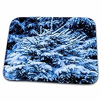 3dRose Snow covered young spruce tree. Blue Christmas - Dish Drying Mats (ddm-264097-1)
