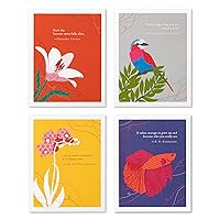 Compendium Positively Green 4-Pack of Birthday Cards - Nature Themed Cards with Envelopes
