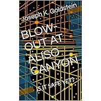 BLOW-OUT AT ALISO CANYON: IS IT SAFE YET? BLOW-OUT AT ALISO CANYON: IS IT SAFE YET? Kindle Paperback