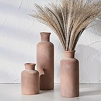 SIDUCAL Ceramic Rustic Farmhouse Vase Set of 3, Whitewashed Terracotta Vase, Pottery Vase,Clay Decorative Vases for Home Decor, Living Room, Shelf, Mantel Decoration(Brick-red)