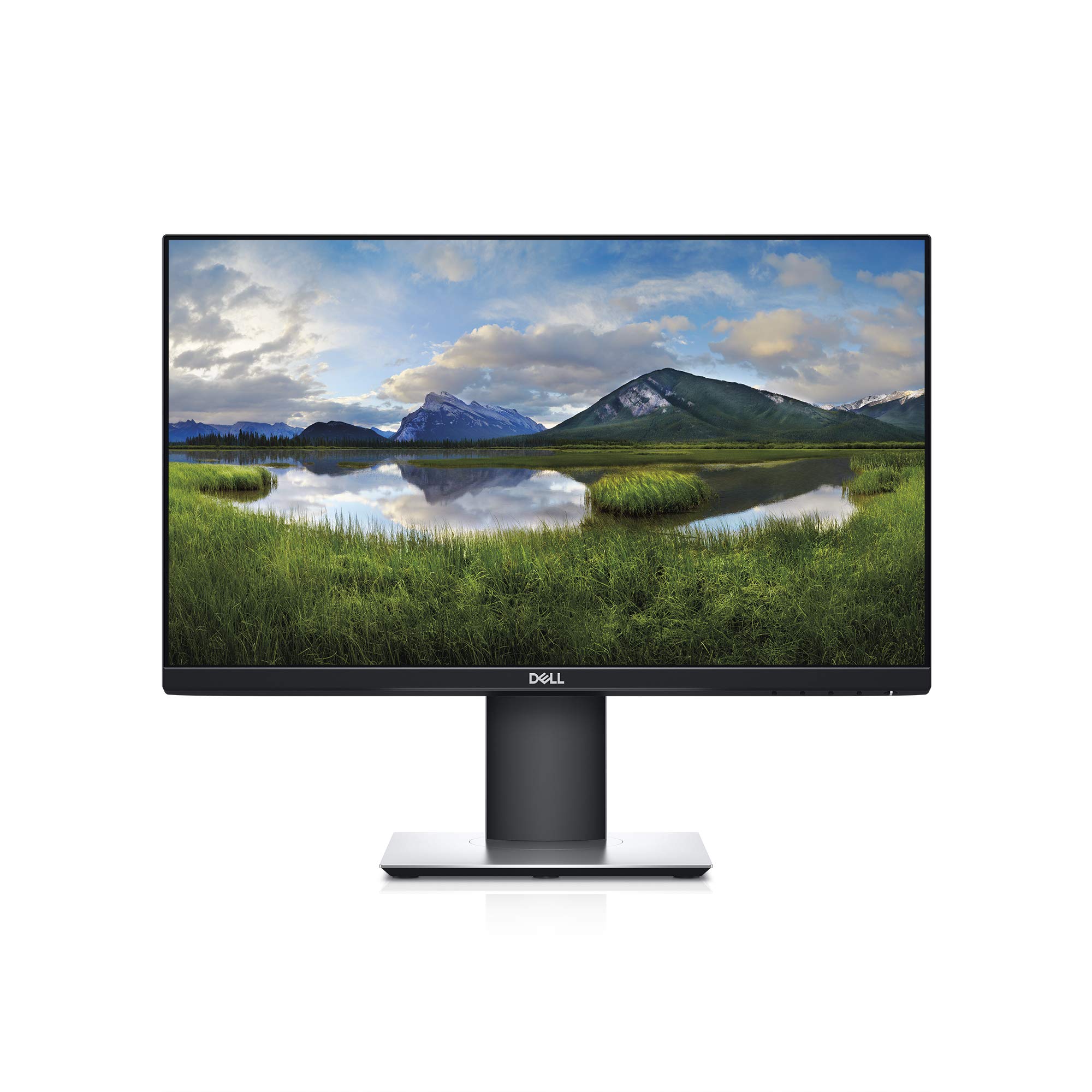 P2219H Widescreen LCD Monitor