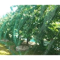 CandyHome 13Ft x 33Ft Anti Bird Protection Mesh Garden Netting Seedlings Plants Flowers Fruit Trees Vegetables from Rodents Deer Reusable Fencing, 13Ft x 33Ft, Green