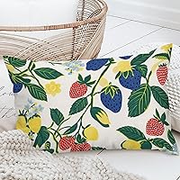 Chinoiserie Asian Throw Pillow Cushion Summer Lemon Strawberry Garden Sofa Pillowcase Red Yellow Blue Strawberry Fruit Accent Pillow for Living Room Bedroom 16x24in White Flax