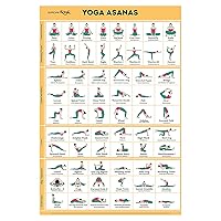 Sportaxis Yoga Poses Poster- 64 Yoga Asanas for Full Body Workout- Laminated Home workout Poster with Colored Illustrations - English and Sanskrit Names - 18