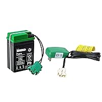 6V 4Ah Battery and 6 Volt Charger Cambo Set for Peg Perego Choo Choo Express Train IGED1116 / Ducati 1098 IGED0913 / for JohnDeere E-Tractor IGED1062 Children Ride On Car