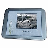 3dRose Thank you, Frog in a Pond Photo, Cattails Accent, Blue... - Dish Drying Mats (ddm-286999-1)