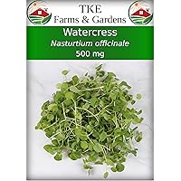 – Watercress Seeds for Planting, 500 mg, 1500 Heirloom Seeds, Non-GMO, Packet Includes Instructions for Growing, Nasturium officinale, Qty 1