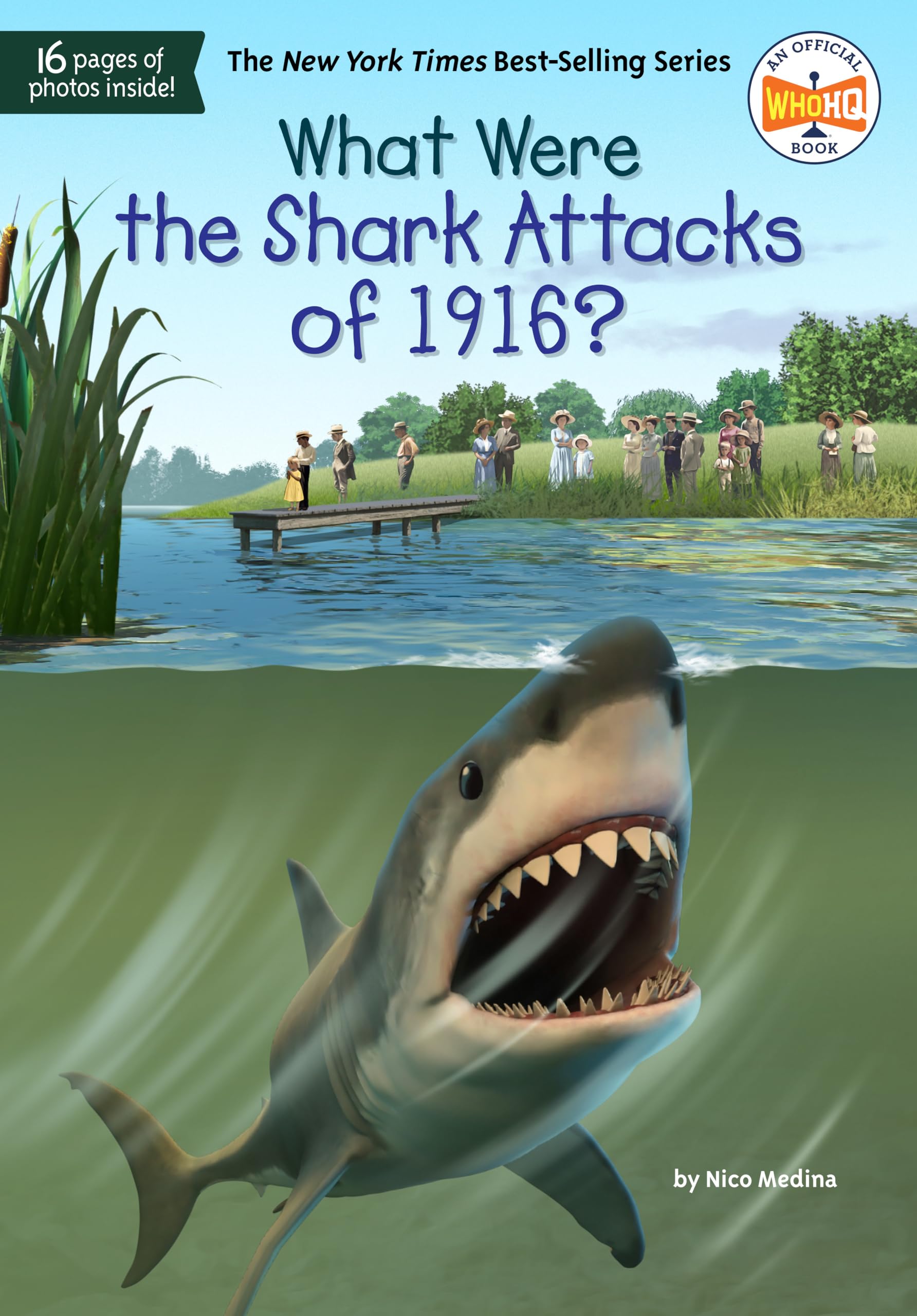 What Were the Shark Attacks of 1916? (What Was?)