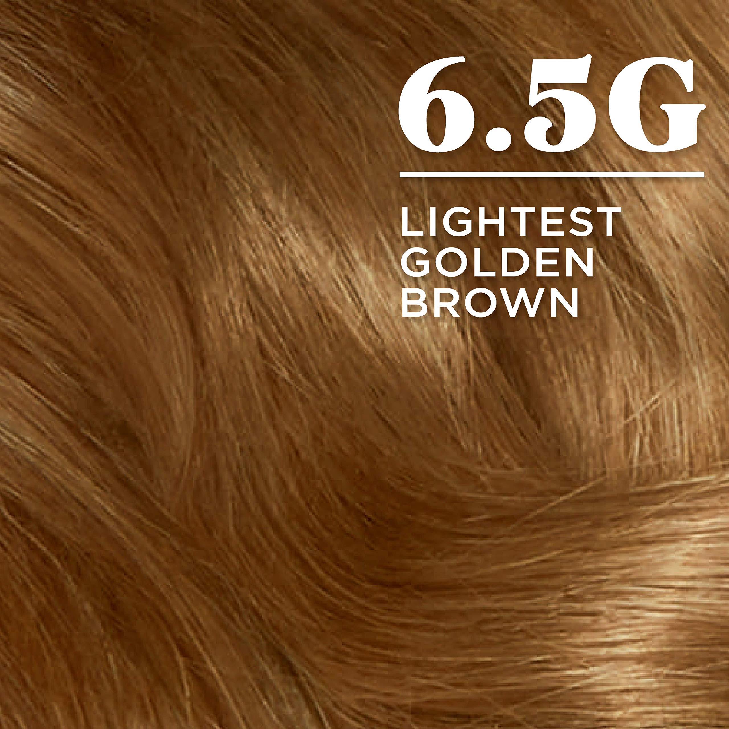 Clairol Nice'n Easy Permanent Hair Dye, 6.5G Lightest Golden Brown Hair Color, (Pack of 3)