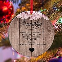Friendship is Like Peeing in Your Pants Ornaments Funny Friendship Gift for BFF Christmas Ornaments Friendship Gifts for Women Friends Christmas Keepsake Acrylic Xmas Ornaments