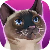 CatHotel - Care for cute cats, cuddle them and play with them.
