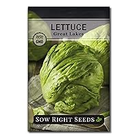 Sow Right Seeds - Great Lakes Lettuce Seeds for Planting - Non-GMO Heirloom Packet with Instructions to Plant a Home Vegetable Garden - Outdoors or Hydroponics Indoors - Crisp Iceberg Variety (1)