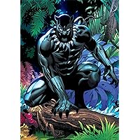 Buffalo Games - Marvel - Black Panther - King of Wakanda - 500 Piece Jigsaw Puzzle for Adults Challenging Puzzle Perfect for Game Nights - 500 Piece Finished Size is 21.25 x 15.00