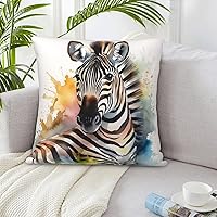 Throw Pillow Covers 16