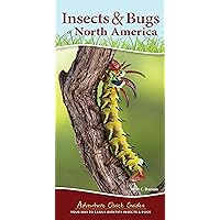 Insects & Bugs of North America: Your Way to Easily Identify Insects & Bugs (Adventure Quick Guides)