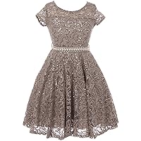BNY Corner Cap Sleeve Floral Lace Glitter Pearl Holiday Party Flower Girl Dress