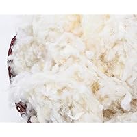 Home of Wool Organic Wool Stuffing for Dolls, Pillows, Crafts, Needle Felting/GOTS Certified - 12 lbs