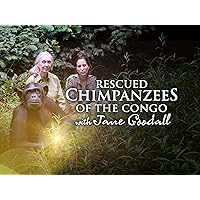 Rescued Chimpanzees of the Congo with Jane Goodall - Season 1