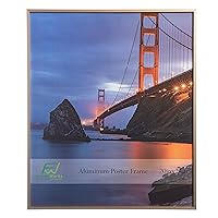 FrameWorks 20” x 24” Gold Brushed Aluminum Poster Picture Frame with Plexiglass 1-Pack