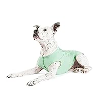 Sun Shield Dog Tee – T-Shirt for Canines – UV Protection, Pet Anxiety Relief, Wound Care – Protects Against Foxtails, Aids Alopecia - Machine Washable, All Season – Size 22 – Pistachio