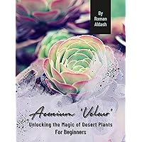 Aeonium 'Velour': Unlocking the Magic of Desert Plants, For Beginners