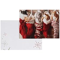 Christmas Cards, Stocking Full of Kittens, 10 Count (701154)