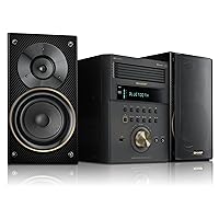 Sharp XL-BH250(GL) Limited Edition 5-Disc Micro Shelf Executive Speaker System with Bluetooth, USB Port for MP3 Playback, AM/FM, Audio in for Digital Players, Champagne Gold and Carbon Fiber Finish
