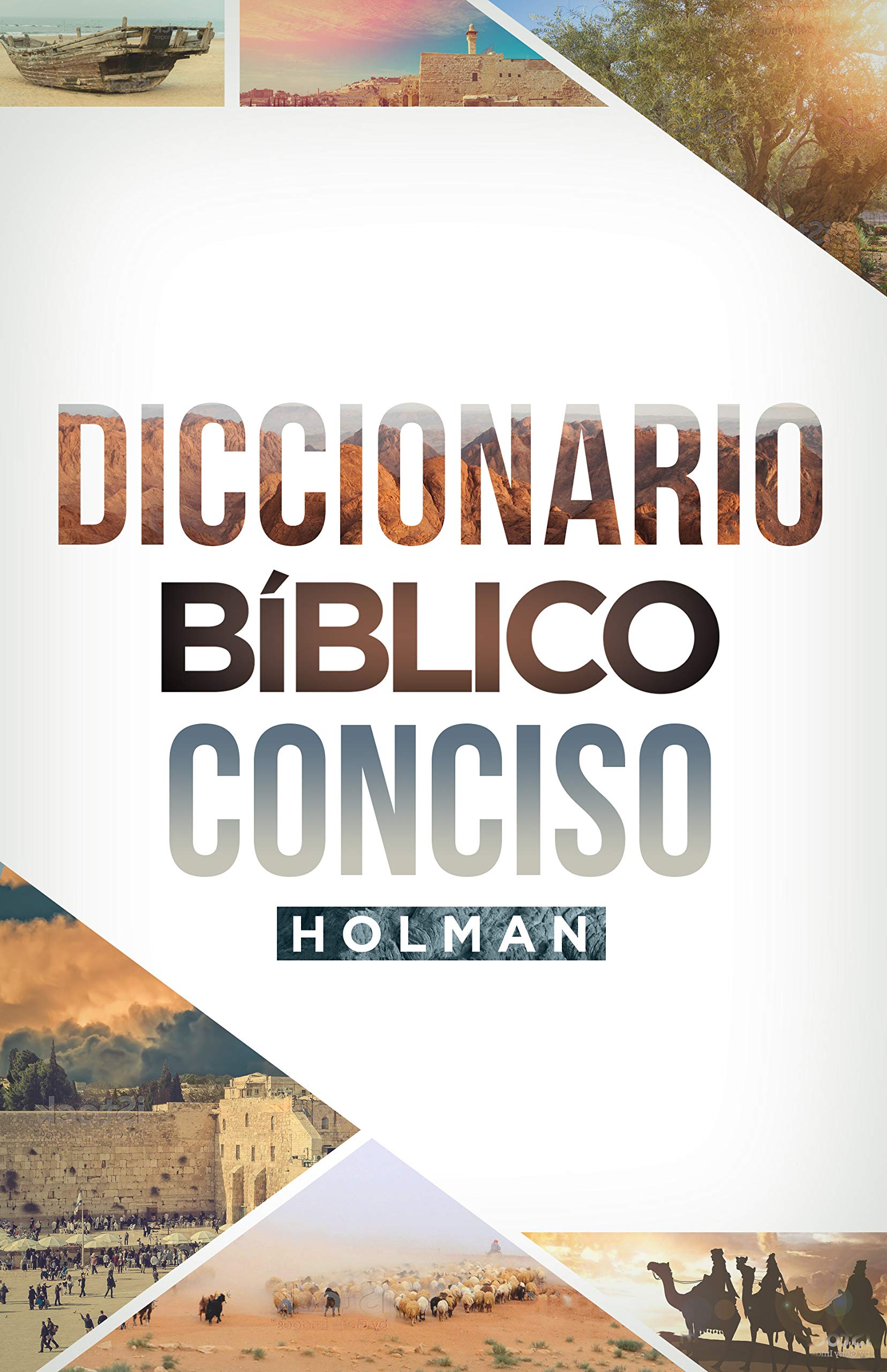 Diccionario Bíblico Conciso Holman | Holman Concise Bible Dictionary (Spanish Edition)