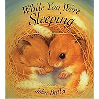While You Were Sleeping While You Were Sleeping Board book Paperback Hardcover