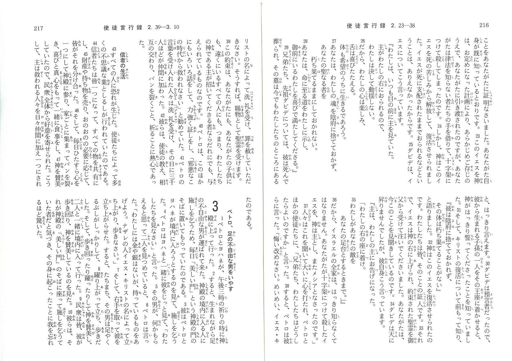 Japanese New Testament (Japanese Edition)