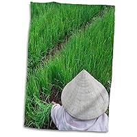 3dRose Farmer with conical hat, Green Onions, Da LAT, Vietnam - AS38... - Towels (twl-133198-1)