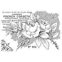 Sam Poole French Rose 6 in x 4 in Clear Stamp Set