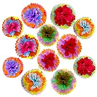 ZERODECO Cinco De Mayo Decorations, 12Pcs Multicolor Fiesta Tissue Pom Paper Flowers 12 inch 14 inch for Mexican Carnival Rainbow Theme Party Supplies