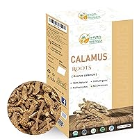 Herbs Botanica Calamus Root Loose Dried Herb For Skin, Stomach Health Benefits Herbal Tea Sweet flag/Sway/Vacha/Muskrat root/Vasambu 8 oz / 1/2 lb
