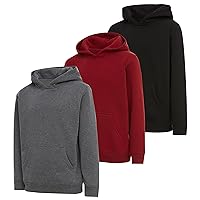 PURE CHAMP Boys 3 pack pullover hoodies Fleece long sleeve essentials sweatshirt for boys Athletic Kids Clothes Size 4-20