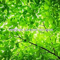 Stress Relief Wind in Leaves Sounds (Sound Effects FX Remix)