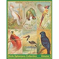 Birds: Ephemera Collection Color Image Paper Prints For Homemade Card And Scrapbook Journal Collector Book Vintage Watercolor Art Forest Green Cover (Volume 1)