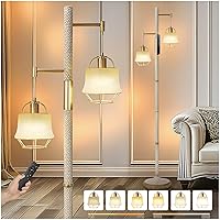 Remote Control Switch Floor Lamp with Metal Lantern and Clear Shade for Living Room Rustic Standing Floor Lamp Decor for Bedroom Study Room Dining Room Office Home Hotel