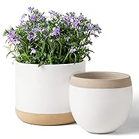 White Ceramic Flower Plant Pots - 6.5 + 4.9 Inch Indoor Planters, Plant Containers with Beige and Cracked Detailing