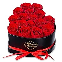 16-Piece Forever Flowers Heart Shape Box - Preserved Roses, Immortal Roses That Last A Year - Eternal Rose Preserved Flowers for Wife, Mothers Day & Valentines Day Gift for Her - Red