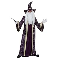 Plus Size Wizard Costume for Adults, Purple Wizard Robe for Magic & Sorcery Dress Up, Cosplay & Halloween