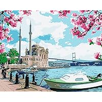 IDEYKA Painting by Numbers Light Istanbul Landscape with Wooden Frame 40 x 50 cm
