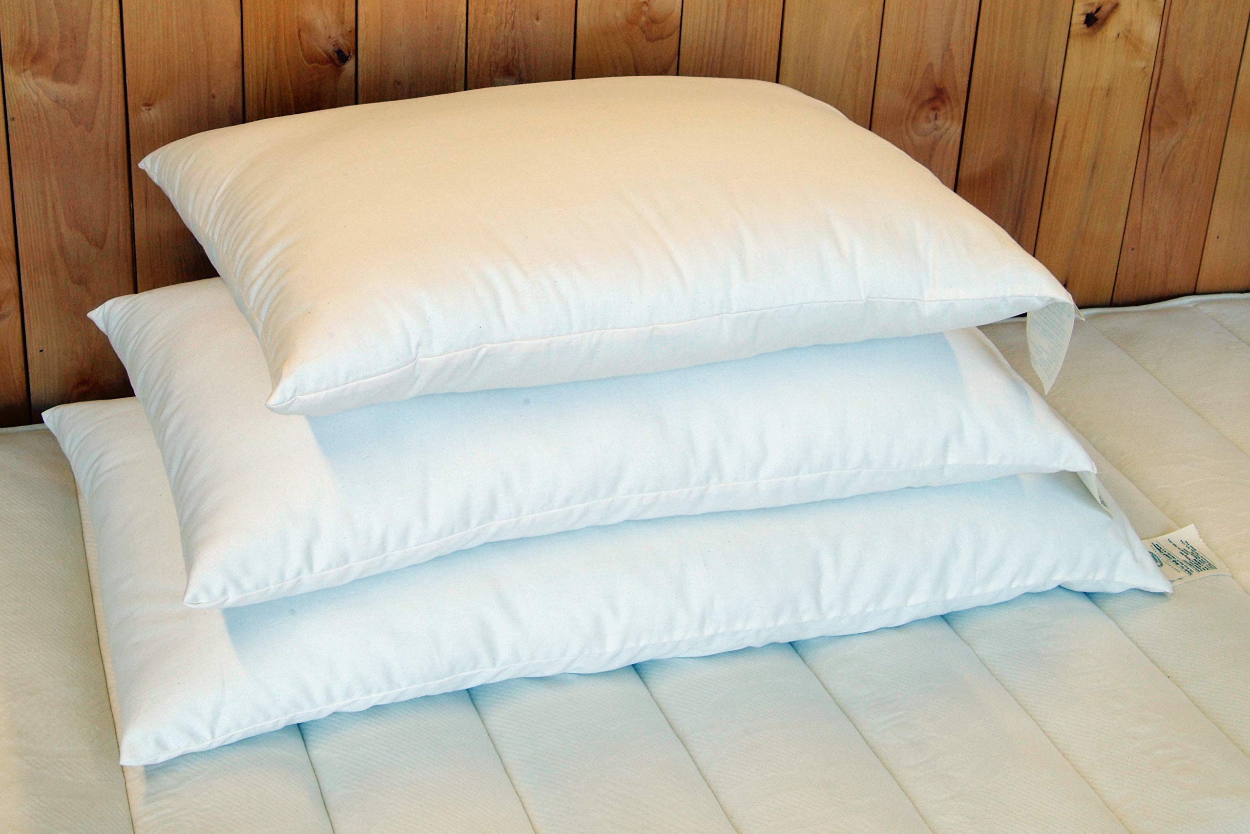Holy Lamb Organics Wool Bed Pillow - Standard - Medium Fill